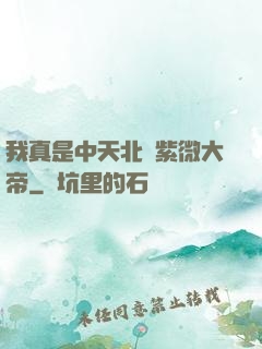 我真是中天北極紫微大帝