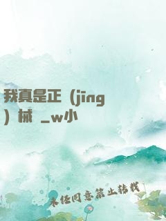 我真是正經(jīng)槍械師