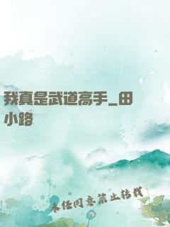 我真是武道高手