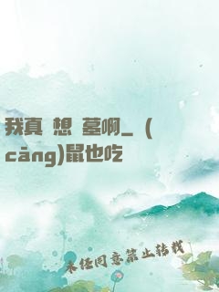 我真沒想盜墓啊