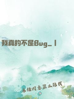 我真的不是Bug