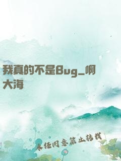 我真的不是Bug
