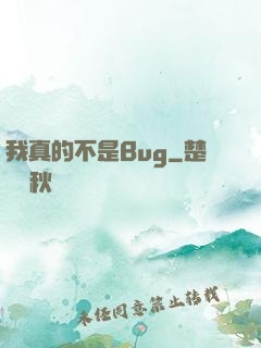 我真的不是Bug