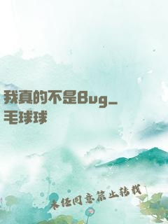 我真的不是Bug