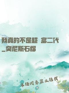 我真的不是超級富二代