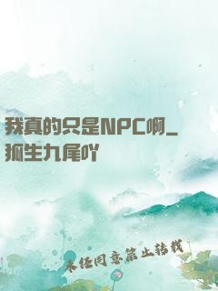 我真的只是NPC啊