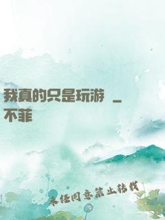 我真的只是玩游戲