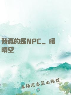 我真的是NPC