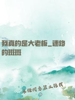 我真的是大老板