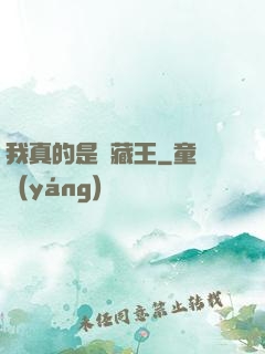 我真的是寶藏王