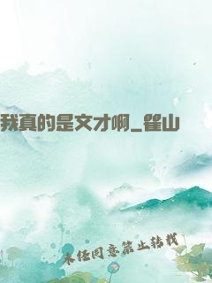 我真的是文才啊