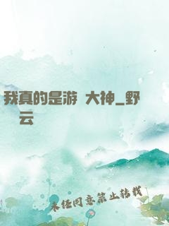 我真的是游戲大神