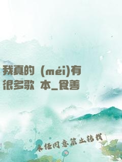 我真的沒(méi)有很多歌詞本