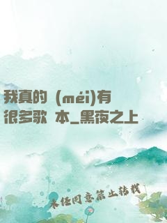 我真的沒(méi)有很多歌詞本
