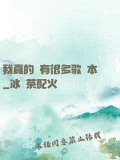 我真的沒有很多歌詞本