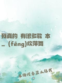 我真的沒有很多歌詞本