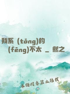 我系統(tǒng)的畫風(fēng)不太對