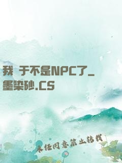 我終于不是NPC了