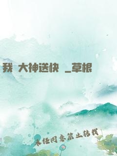 我給大神送快遞