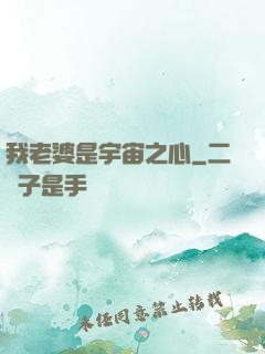我老婆是宇宙之心