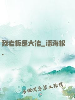 我老板是大佬