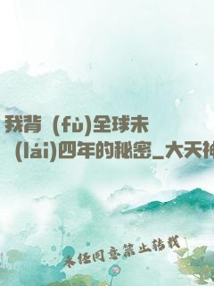 我背負(fù)全球未來(lái)四年的秘密