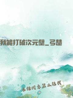 我能打破次元壁