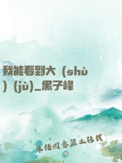 我能看到大數(shù)據(jù)