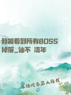 我能看到所有BOSS掉落