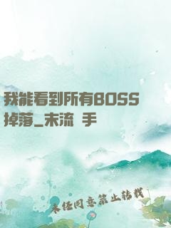 我能看到所有BOSS掉落