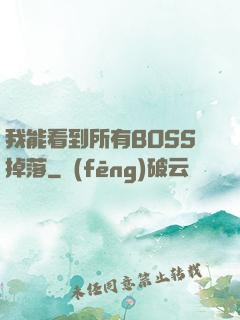 我能看到所有BOSS掉落