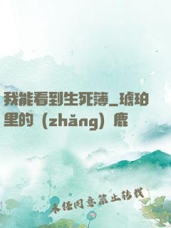 我能看到生死簿
