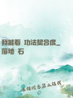 我能看見功法契合度