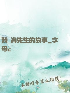 我與肖先生的故事