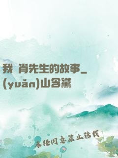 我與肖先生的故事