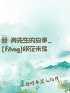 我與肖先生的故事