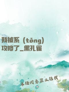 我被系統(tǒng)攻略了