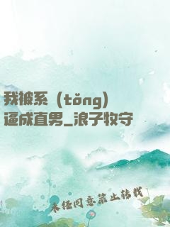 我被系統(tǒng)逼成直男