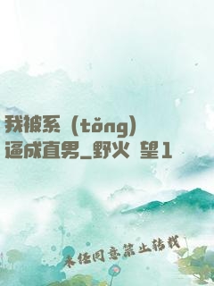 我被系統(tǒng)逼成直男