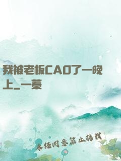 我被老板CAO了一晚上