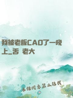 我被老板CAO了一晚上