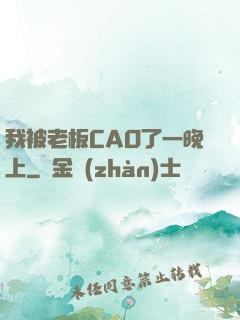 我被老板CAO了一晚上