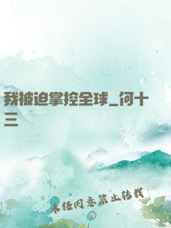 我被迫掌控全球