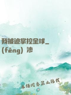 我被迫掌控全球