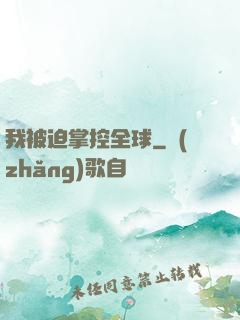 我被迫掌控全球