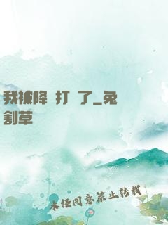 我被降維打擊了