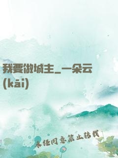 我要做城主