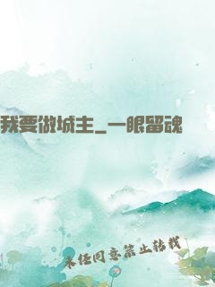 我要做城主