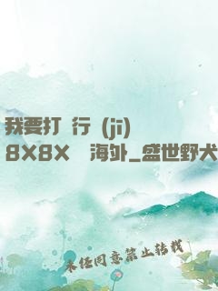 我要打飛行機(jī)8X8X視頻海外