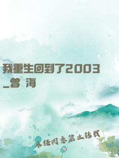 我重生回到了2003